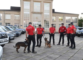 Euskadi impulsará la adopción de perros de centros municipales para integrarlos en la Unidad Canina de la Ertzaintza