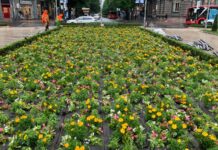 El Ayuntamiento de Bilbao apuesta por la sostenibilidad en la renovación floral de la plaza Moyua