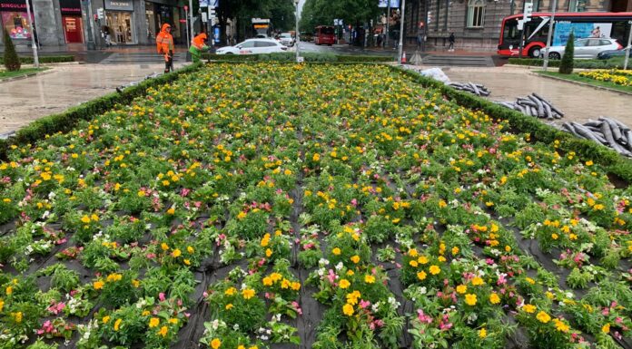 El Ayuntamiento de Bilbao apuesta por la sostenibilidad en la renovación floral de la plaza Moyua