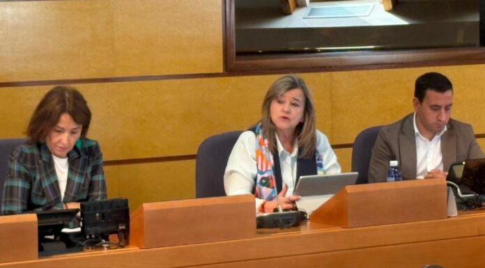 La Diputación de Bizkaia destina el 6,2% de su presupuesto para apoyar a más de 100.000 jóvenes