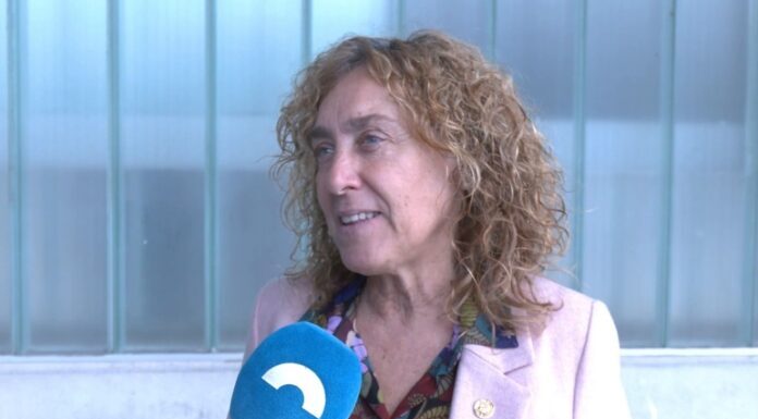 Susana García Chueca, Topo berria martxan jartzeari buruz: «Hau urte handia da Gipuzkoarentzat»