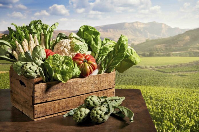 Gastronomia_verduras_Diaporama-1-696x464-1