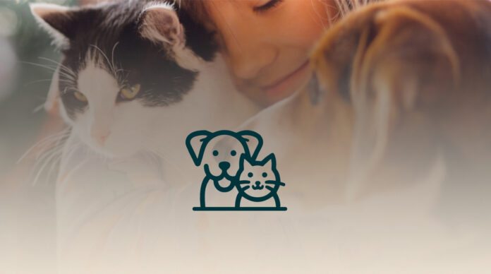 etxeko-animaliak-araudia-696x388-1