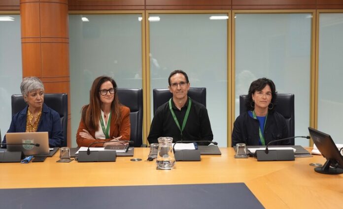 n770_Dpto_Salud_Osakidetza_Comision_Salud_Plan_Funcional_Hospital_Publico_Tolosaldea_02-696x424-1