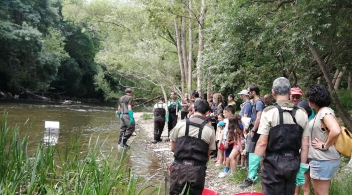 Larunbat honetan arrantza elektrikoak amaiera emango dio Lizarran udazkenera arte Natura Ondarearen bisita gidatuei