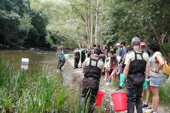 pesca-696x464-1