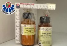 Especialistas en desactivación de explosivos retiran botes de ácido pícrico en centros escolares de Bilbao y Getxo