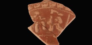 Foruan aurkitutako zeramika zati bateko gladiadore-eszena bat gehitu dio Arkeologia Museoak bere «Museoa Aztarnaz Aztarna» programari