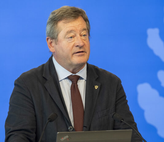 La Junta de Seguridad acuerda reformar las leyes contra las armas blancas y la reincidencia para blindar la seguridad en Euskadi