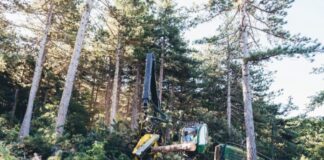Fallece un operario forestal de 44 años tras ser alcanzado por un tronco en Azkoitia – GipuzkoaGaur – Actualidad de Gipuzkoa