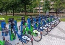 Dbizi-ren erabilera %25,5 handitu da urteko lehen seihilekoan