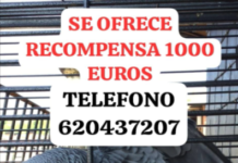 Ofrecen mil euros de recompensa para localizar a Berritxu