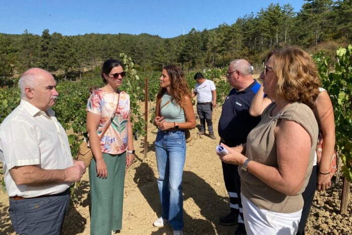 080926DRM_SABAIZA1-696x464-1