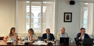 Etxabakoitzeko UGPSaren aldaketa onartzeak etxebizitza publikoetarako lurzoru gehiago garatzea, Iruñeko geltoki berria integratzea eta berdeguneak irabaztea bultzatu du