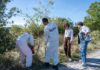 La Diputación de Bizkaia destina 5,14 millones de euros a combatir las especies invasoras de Urdaibai