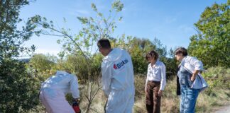 La Diputación de Bizkaia destina 5,14 millones de euros a combatir las especies invasoras de Urdaibai